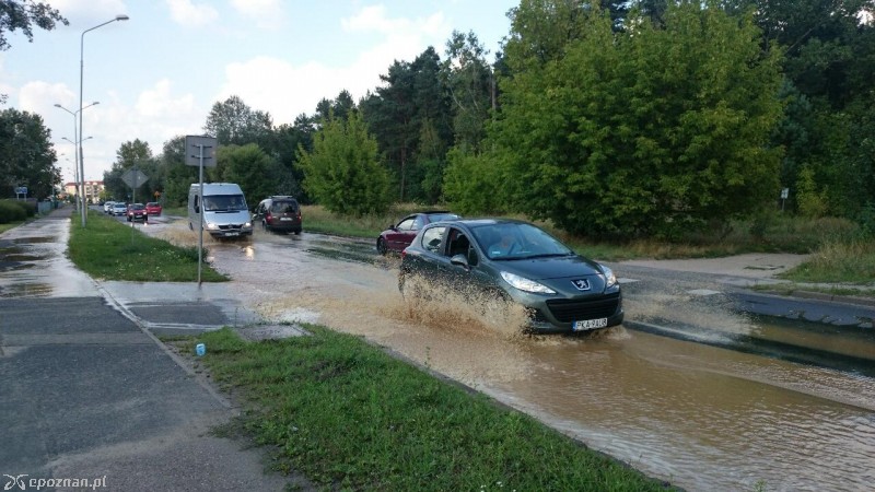 fot. Tomasz Szwajkowski