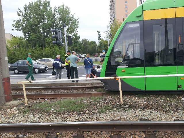 fot. Maciej