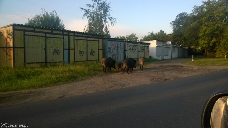 Ul. Jaroczyńskiego we wtorek rano | fot. Łukasz C.