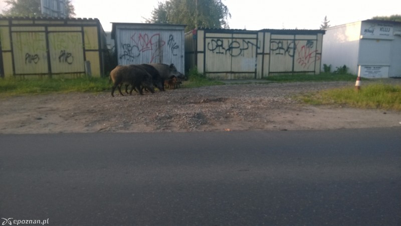 Ul. Jaroczyńskiego we wtorek rano | fot. Łukasz C.