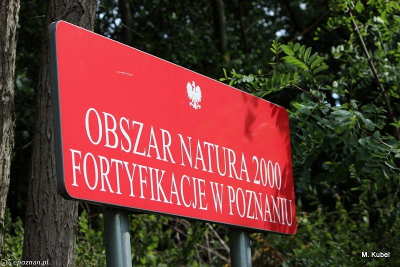 fot. Marcin Kubel