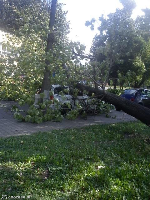 fot. Filip K. 