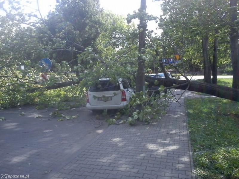 fot. Filip K.