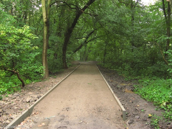fot. RO Świerczewo
