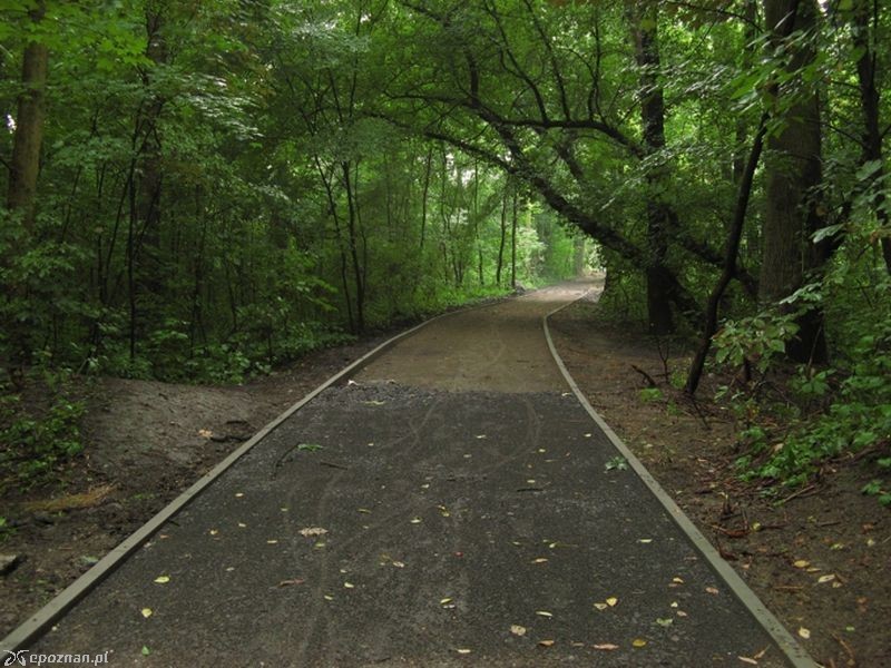 fot. RO Świerczewo
