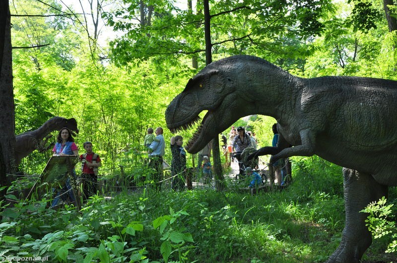 fot. zatorland / obiezyswiat.org