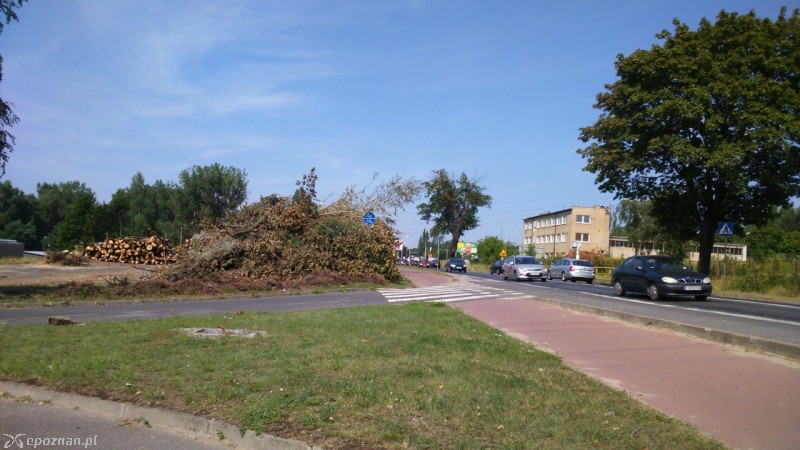 fot. Ewelina