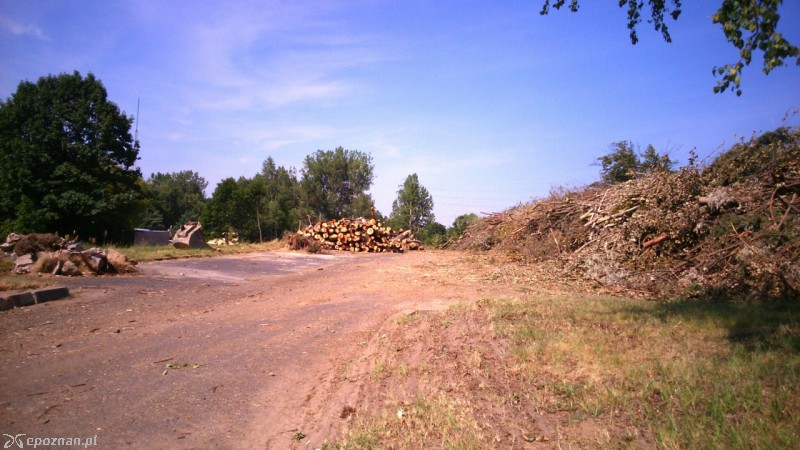 fot. Ewelina