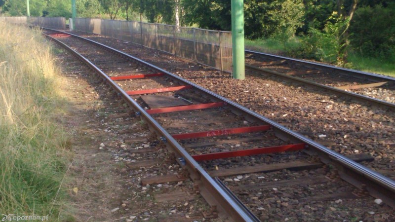 fot. czytelnik