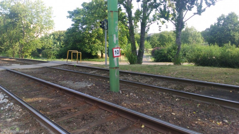 fot. czytelnik