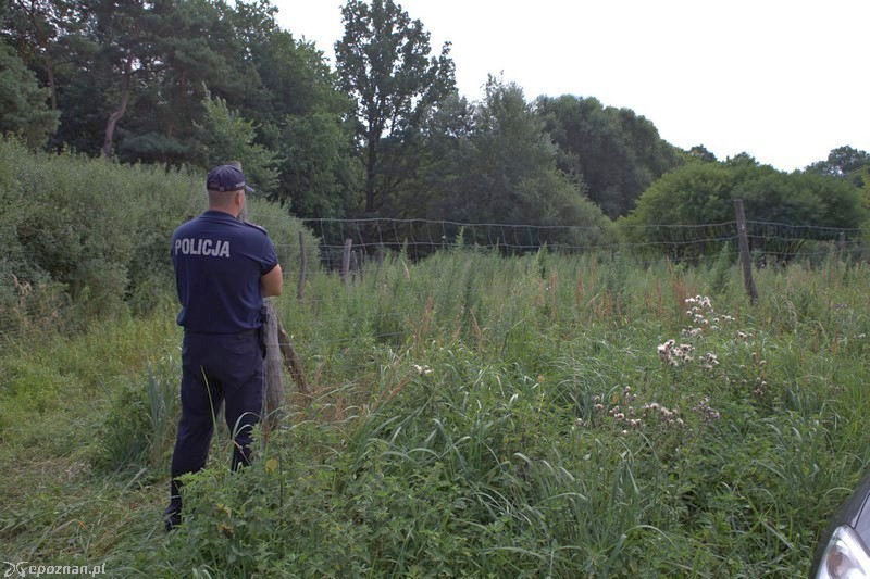 fot. Policja