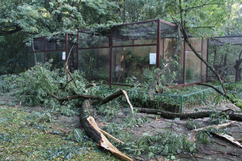 fot. Nowe ZOO/Facebook
