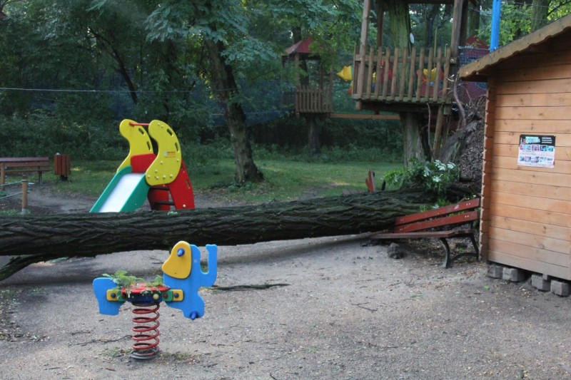 fot. Nowe ZOO/Facebook
