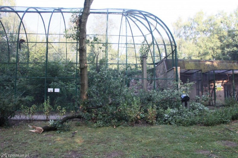 fot. Nowe ZOO/Facebook