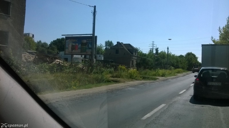 fot. Paweł Krupecki