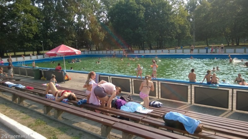 Zdjęcie z połowy sierpnia | fot. Anita