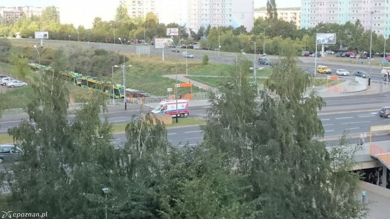 fot. Jakub