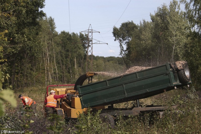 Trwają prace przy oczyszczaniu miejsca znaleziska | fot. Maciej Kulczyński/PAP