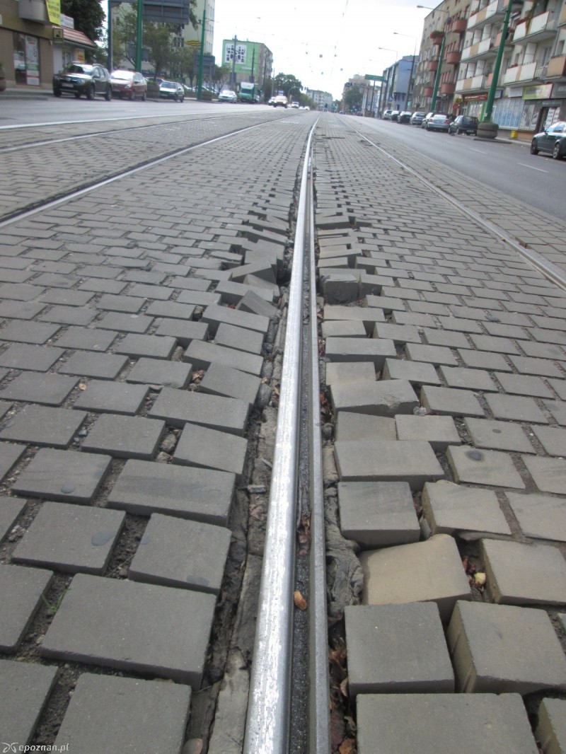 fot. Nishio Poznań