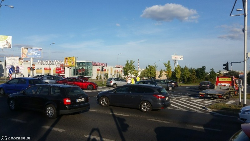 fot. Tomasz Szwajkowski