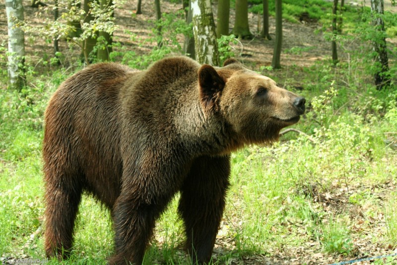 fot. ZOO Poznań