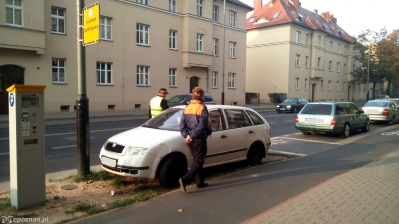 fot. SM