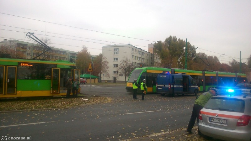 fot. sk
