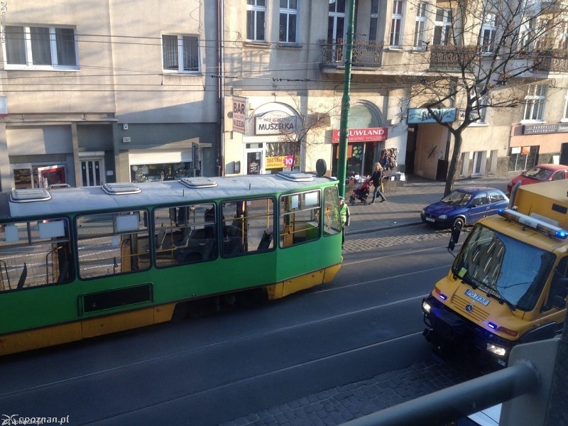 fot. Maja B.