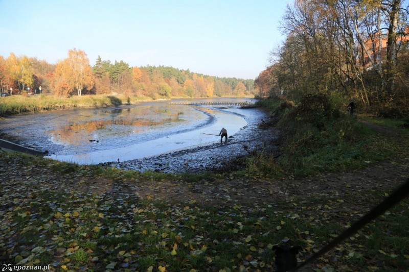 fot. Krzysztof