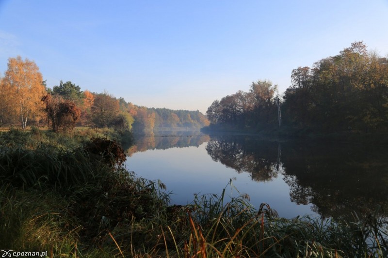fot. Krzysztof