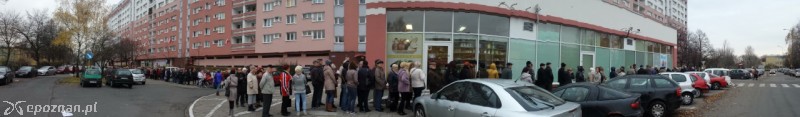 fot. Dominik
