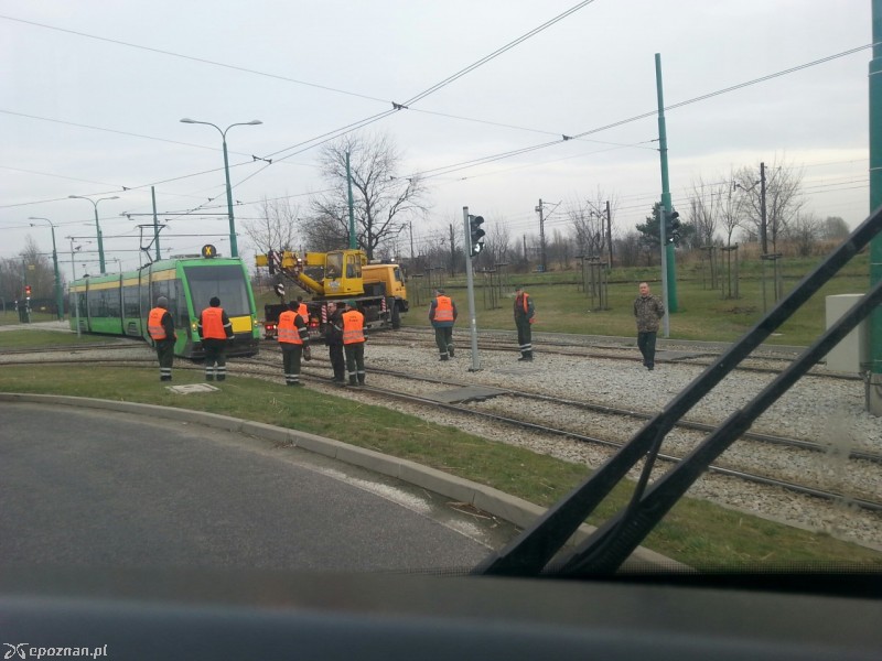 fot. czytelnik