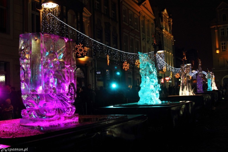 Ubiegłoroczone rzeźby | fot. Adrian Juzak