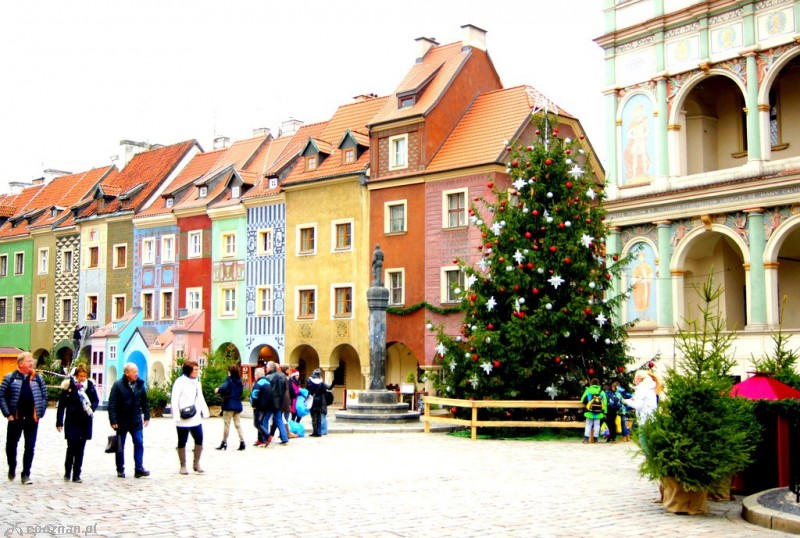 fot. Włodzimierz Hoppel