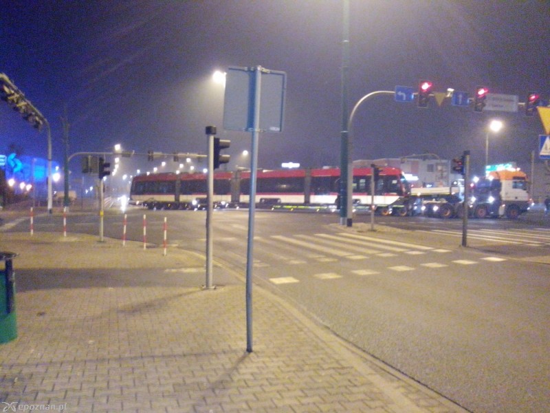 fot. Roksana