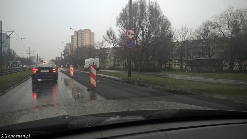 fot. Maciej