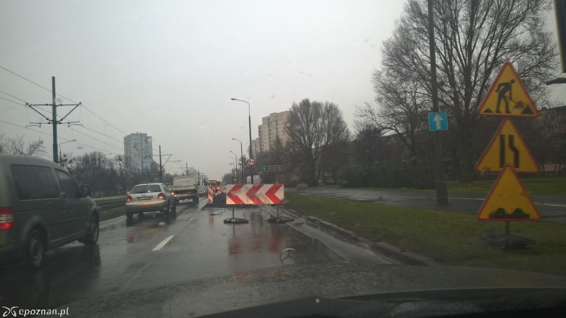 fot. Maciej