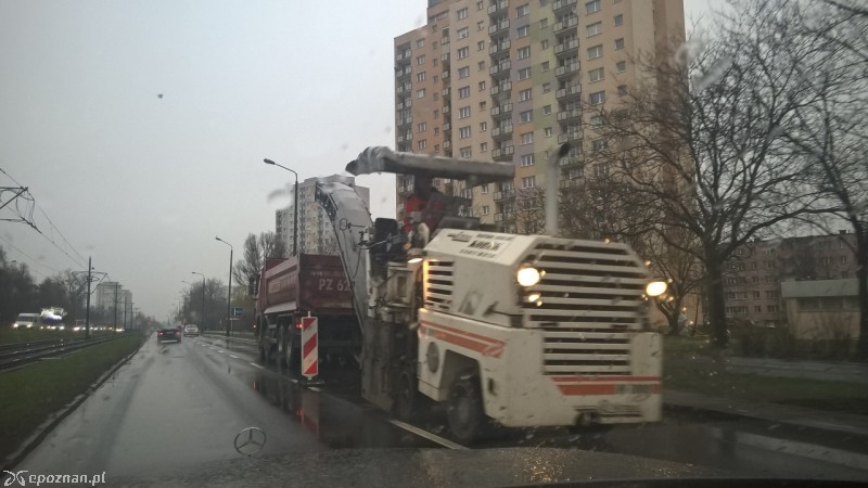 fot. Maciej