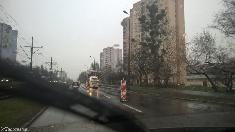 fot. Maciej