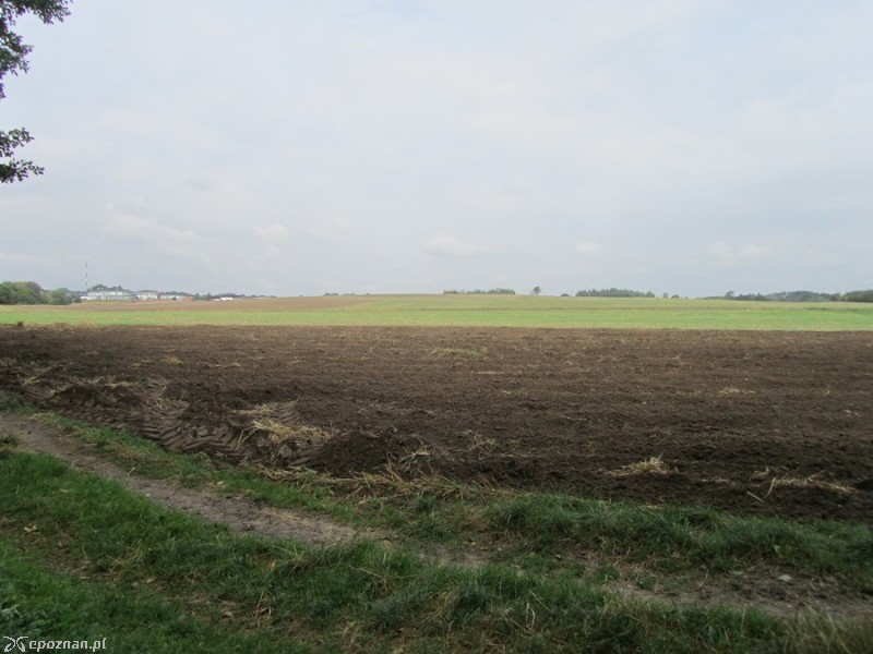 fot. J. Gładysiak/Biuletyn Miejski