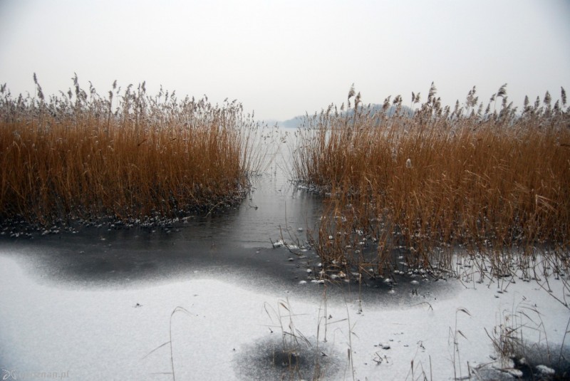 fot. Danuta Knach