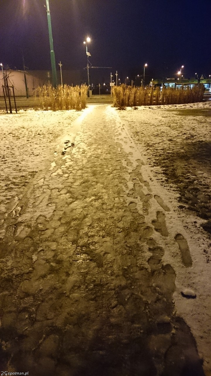 fot. Bartosz