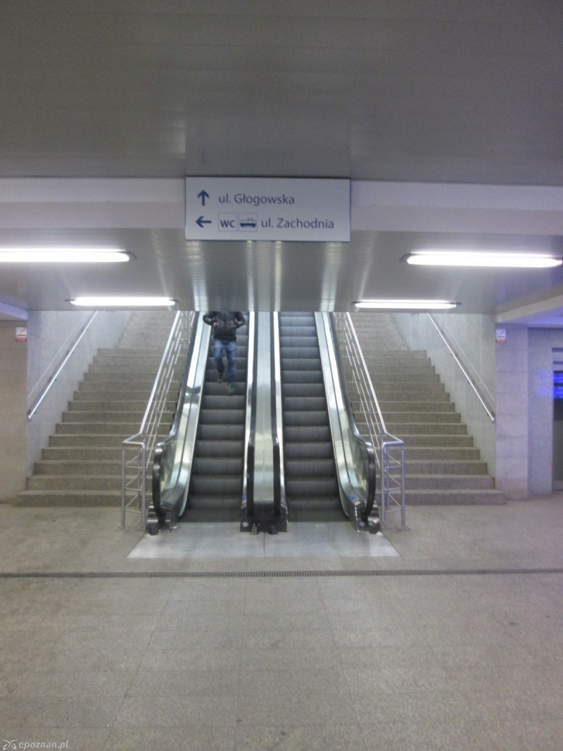 fot. Nishio Poznań