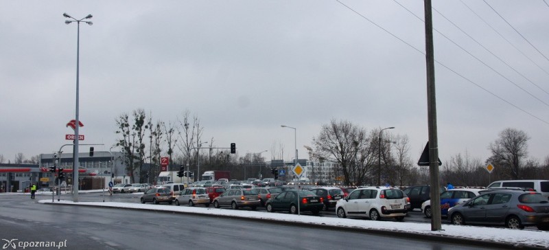 fot. Włodzimierz  Hoppel