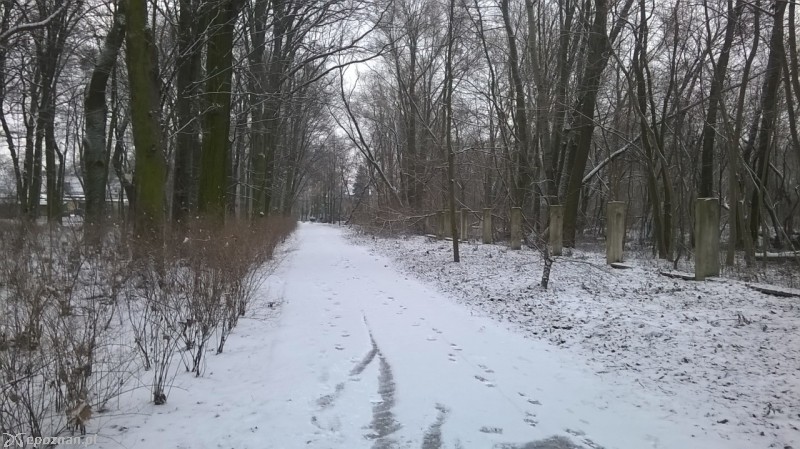 Tak wygląda droga rowerowa w poniedziałek | fot. Tomasz
