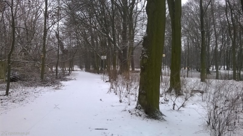 Tak wygląda droga rowerowa w poniedziałek | fot. Tomasz