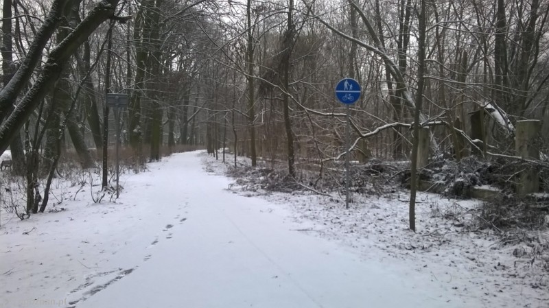 Tak wygląda droga rowerowa w poniedziałek | fot. Tomasz