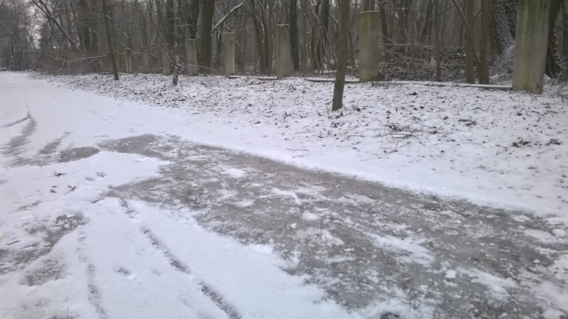 Tak wygląda droga rowerowa w poniedziałek | fot. Tomasz