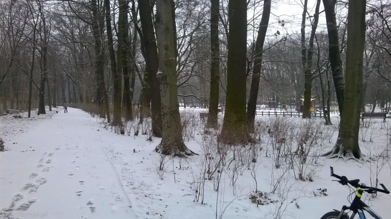 Tak wygląda droga rowerowa w poniedziałek | fot. Tomasz