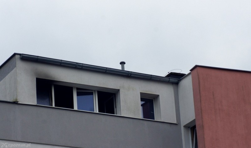 fot. Włodzimierz  Hoppel